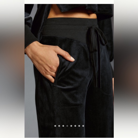 Anthro velour wide legged pants - Picture 3 of 6